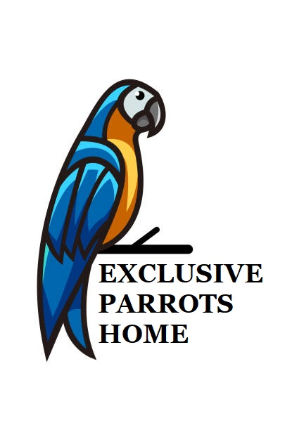exclusiveparrots.com